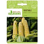 National Gardens Sweet Corn Seeds 20 Seeds