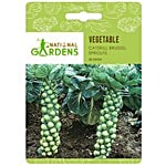 National Gardens Catskill Brussel Sprouts Vegetable Seeds 20 Seeds
