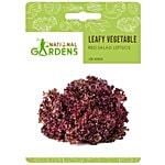 National Gardens Red Salad Lettuce Seeds 100 Seeds