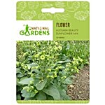 National Gardens Aztec Tobacco Seeds 10 Seeds
