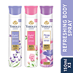 Yardley London Assorted Deodorant Pack for Women, English Lavender, English Rose, and Morning Dew 150 ml (Pack of 3)