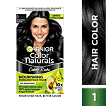 Garnier Color Naturals Mini 35 ml + 30 g Shade 100 Natural Black