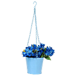 Klassic Flora Round Shaped Hanging Planter - Blue, Medium 1 pc