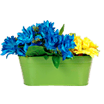 Klassic Rover Oval Shape Railing Planter - Green, Small 1 pc