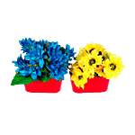 Klassic Boat Oval Shape Pot Planter - Red, Medium 1 pc