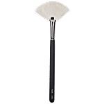 PAC Fan Brush - 179 1 pc