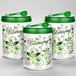 Asian Airtight Turn & Lock Jar with Spoon - Assorted Colour, Plastic, Printed, Cylindrical 600 ml (Set of 3)