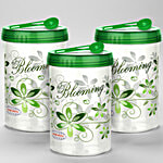 Asian Airtight Turn & Lock Jar with Spoon - Assorted Colour, Plastic, Printed, Cylindrical 850 ml (Set of 3)