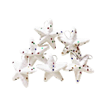 Pahal Snow Star Ornament 6 pcs