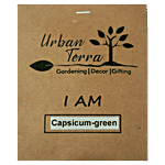Urban Terra Green Capsicum Seeds 30 pcs