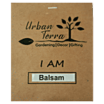 Urban Terra Balsam Seeds 30 pcs