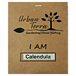 Urban Terra Calendula Seeds 30 pcs