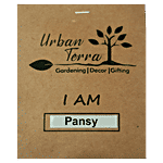 Urban Terra Pansy Seeds 30 pcs