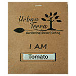 Urban Terra Tomato Seeds 50 pcs