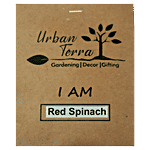 Urban Terra Red Spinach Seeds 50 pcs