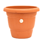 Aaniya Janatha Plastic Garden Tree Planter Pot - Large 1 pc