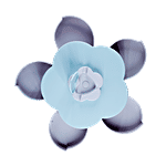 DP Petal-Shaped Rotating Snack Serving Tray - BB1543 1 pc