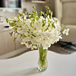Fresho White Orchids 10 pcs
