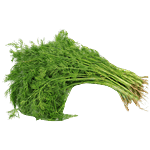 Fresho Dill Leaves 100 g