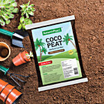 Natures Plus Coco Peat 3 kg