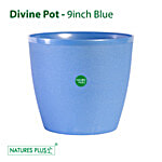 Natures Plus Divine - 22.86 cm, Blue 1 pc 22.86 x 16.51 x 20.32 cm