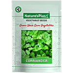 Natures Plus Coriander Plant Seeds For Home Garden Set of 1