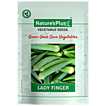 Natures Plus Lady Finger Plant Seeds For Home Garden Set of 1