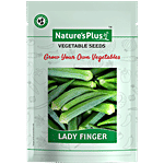 Natures Plus Lady Finger Plant Seeds For Home Garden Set of 1