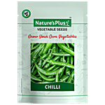 Natures Plus Chilli Plant Seeds For Home Garden Set of 1