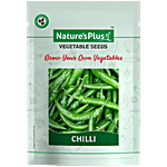 Natures Plus Chilli Plant Seeds For Home Garden Set of 1