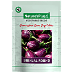 Natures Plus Brinjal Round Plant Seeds For Home Garden Set of 1