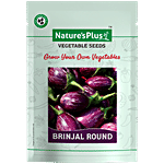 Natures Plus Brinjal Round Plant Seeds For Home Garden Set of 1