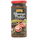 Nilons Dhaniya Pudina Sandwich Chutney 250 g