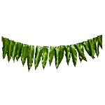 Hoovu Fresh Mango Leaf Thorana 80 cm