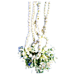 RoseBazaar Ekkada Hoovu String 40 cm