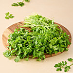 fresho! Coriander/Cilantro - Hydroponically Grown 100 g