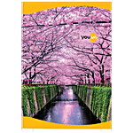 Navneet Youva Notebook - Ruled, Single Line, Soft Bound, A4, 172 Pages 1 pc