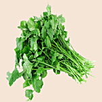 fresho! Coriander - Hydroponically Grown 100 g