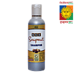 GCC Soapnut Shampoo - Natural Hair Cleanser, Prevents Hairfall 100 ml 
