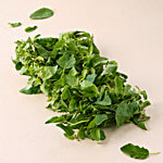 fresho! Tulsi Mola 1 pc