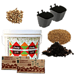 Stonesoup Home Composting Bin - Veg & Non Veg Waste, No Smell, Starter Kit 8 pcs