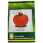 Indo American Hybrid Seeds (India) Pvt. Ltd. Tomato Seeds -  INDAM 14301, Hybrid, High Yield, For Farms, Kitchen Garden 1 pc 50 Seeds