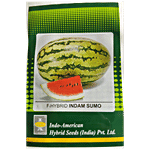 Indo American Hybrid Seeds (India) Pvt. Ltd. Watermelon Indam-Sumo Seeds - Hybrid, High Yield, For Farms, Kitchen Garden 1 pc 15 Seeds