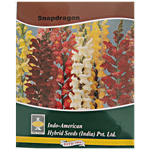 Indo American Hybrid Seeds (India) Pvt. Ltd. Snapdragon Rocket Mix Seeds - Flowering Plants, High Quality & Yield, For Gardening Use 1 pc 50 Seeds