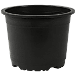 Leafy Tales Plastic Pot - Lightweight, Strong, Durable, For Indoor Plants, Black, 15cm 1 pc 