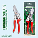 Natures Plus Pruning Shears For Gardening & Agricultural Use - Auto Lock 1 pc