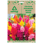 Optimal Seeds Celosia Pulmosa Mixed Flower Seeds 100 pcs