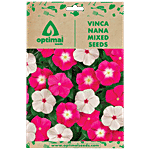 Optimal Seeds Vinca Nana Mixed Flower Seeds 100 pcs