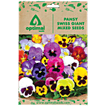 Optimal Seeds Pansy Swiss Giant Mixed Flower Seeds 100 pcs