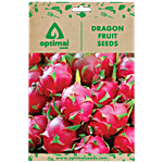 Optimal Seeds Dragon Fruit Seeds 20 pcs